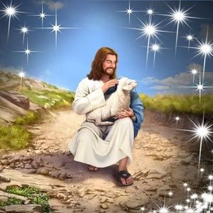 Meet your Posher, Dora